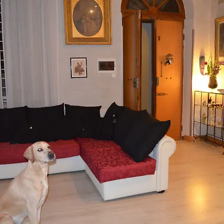 Domus Chiara Al Colosseo Rom